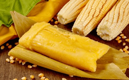 Pamonha: Kuliner Khas Brasil yang Lezat dan Menggugah Selera