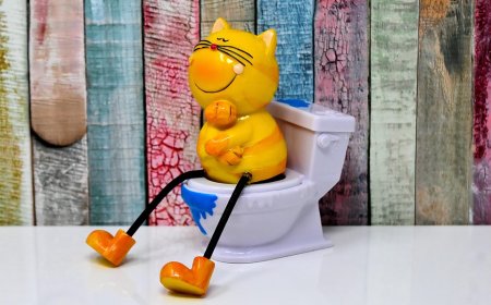 Profesi Donor Tinja di Amerika: Peluang Baru di Dunia Kesehatan