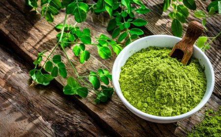 Manfaat Daun Kelor untuk Kesehatan, Salah Satunya Membantu Tidur Lebih Nyenyak