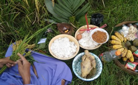 Tradisi Wiwitan di Sajian Kembang Turi: Simbol Rasa Syukur Petani