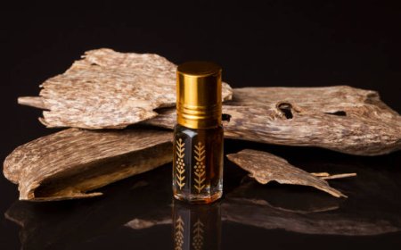 Malinau, Penghasil Gaharu yang Jadi Komoditas Parfum Dunia