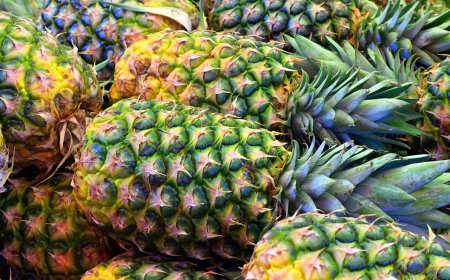 Pemkab Kediri Dampingi Petani Ekspor 20 Ton Nanas ke Uni Emirat Arab