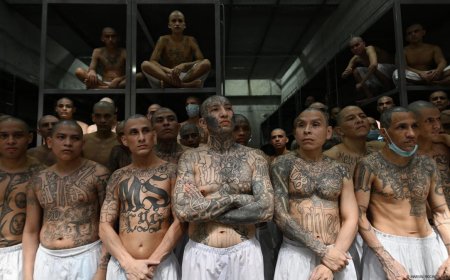 Ribuan Napi Gangster El Salvador Dipindahkan ke Penjara Cecot, Fasilitas Terbesar di Amerika Utara