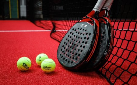 Padel: Olahraga Raket Mirip Tenis yang Kian Digemari