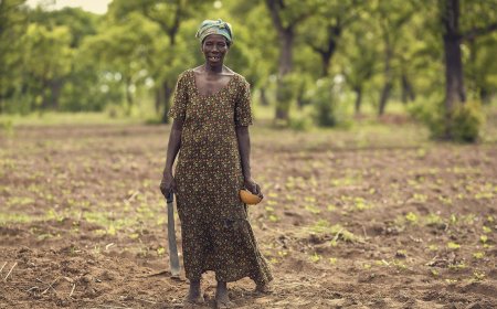 Farmerline: Inovasi Teknologi untuk Meningkatkan Kesejahteraan Petani