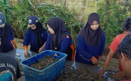 SMK Perikanan Puger Sukses Ekspor Udang ke AS & Jepang!
