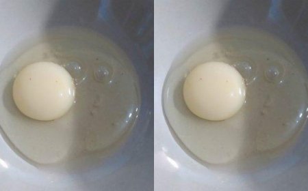 Kometsuya: Inovasi Telur Jepang dari Ayam yang Diberi Pakan Beras