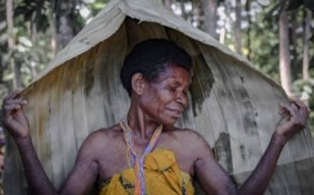 Koba-Koba: Payung Tradisional Suku Moi, Simbol Kehormatan dan Kearifan Lokal Papua Barat