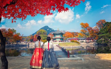 Mengapa Orang Korea Jarang Bau Badan? Ini Fakta Ilmiahnya!