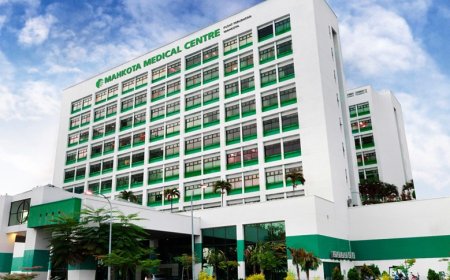 2 Juta WNI Pilih Berobat ke Luar Negeri, Devisa Negara Hilang Triliunan