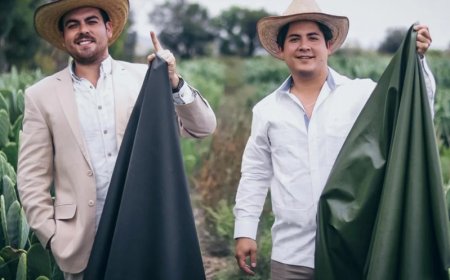 Kulit dari Kaktus: Solusi Ramah Lingkungan Pengganti Kulit Hewan