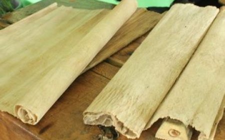 Kertas Daluang, Warisan Nusantara yang Terancam Punah