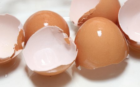 Kulit Telur Bisa Jadi Jualan Menguntungkan di Marketplace