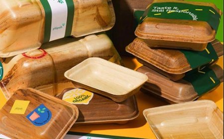 Wadah Makanan dari Pelepah Pinang Jadi Solusi Plastik Sekali Pakai
