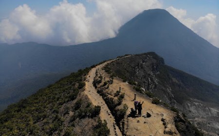 Nekat Mendaki Saat Gunung Gede Ditutup, 36 Pendaki Kena Denda Berat dan Sanksi Sosial