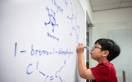 Theodore Kwan: Bocah 7 Tahun Ber-IQ 154 yang Ikut Kuliah Kimia di Nanyang Technological University (NTU), Singapura