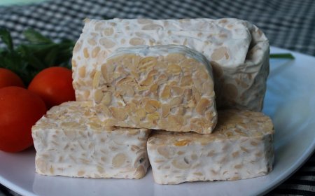 Tempe Menuju Panggung Dunia: Indonesia Ajukan Tempe sebagai Warisan Budaya Takbenda UNESCO