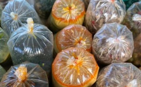 Bahaya Makanan Panas Dibungkus Plastik untuk Kesehatan