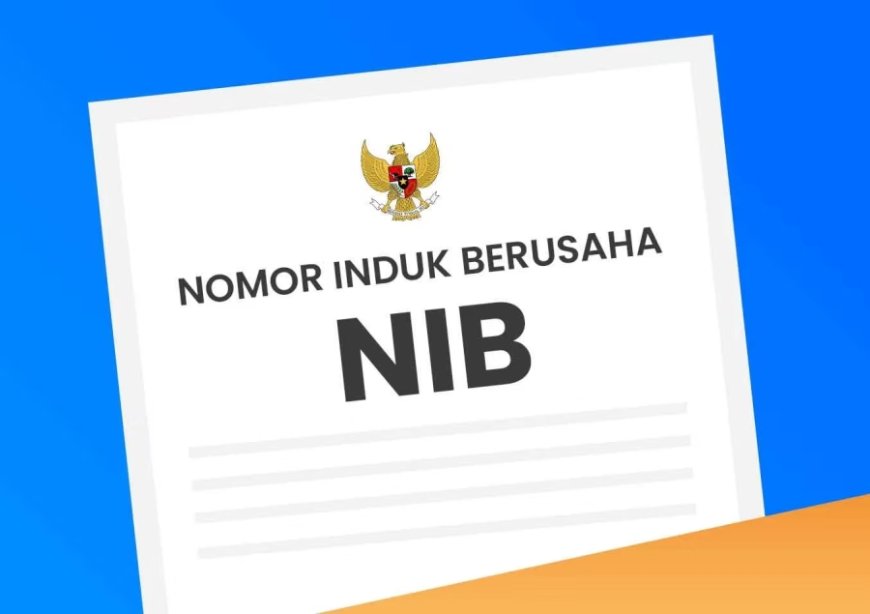 Bisnis Bisa Kena Masalah Kalau Lalai Urus NIB