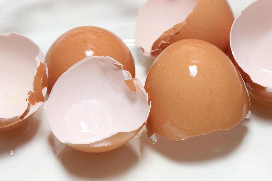 Kulit Telur Bisa Jadi Jualan Menguntungkan di Marketplace