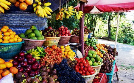 Mengenal Buah-Buah Langka Nusantara yang Hampir Terlupakan