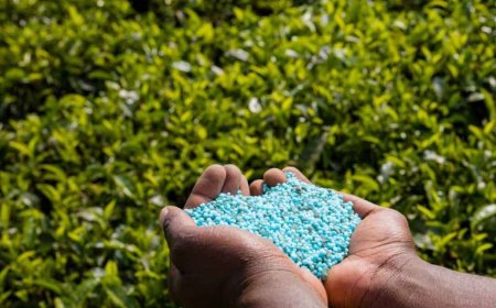 Mentan Cabut Izin 190 Pengecer & Distributor Pupuk: “Tidak Ada Lagi Toleransi untuk Mafia”