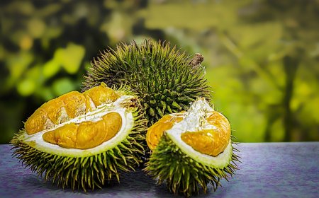 Durian Bukan Penyebab Kolesterol: Ini Penjelasan Ilmiahnya Menurut Pakar Gizi IPB