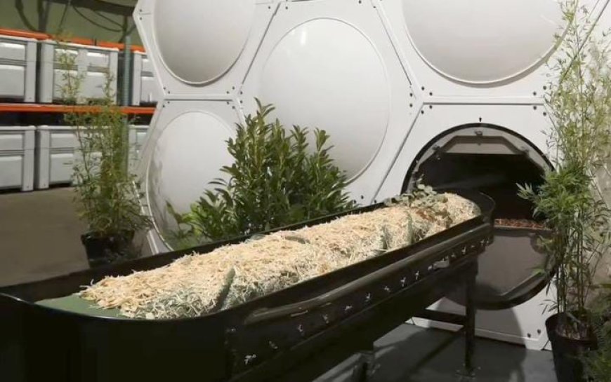 Human Composting: Cara Ramah Lingkungan Mengakhiri Kehidupan dengan Menumbuhkan Kehidupan Baru