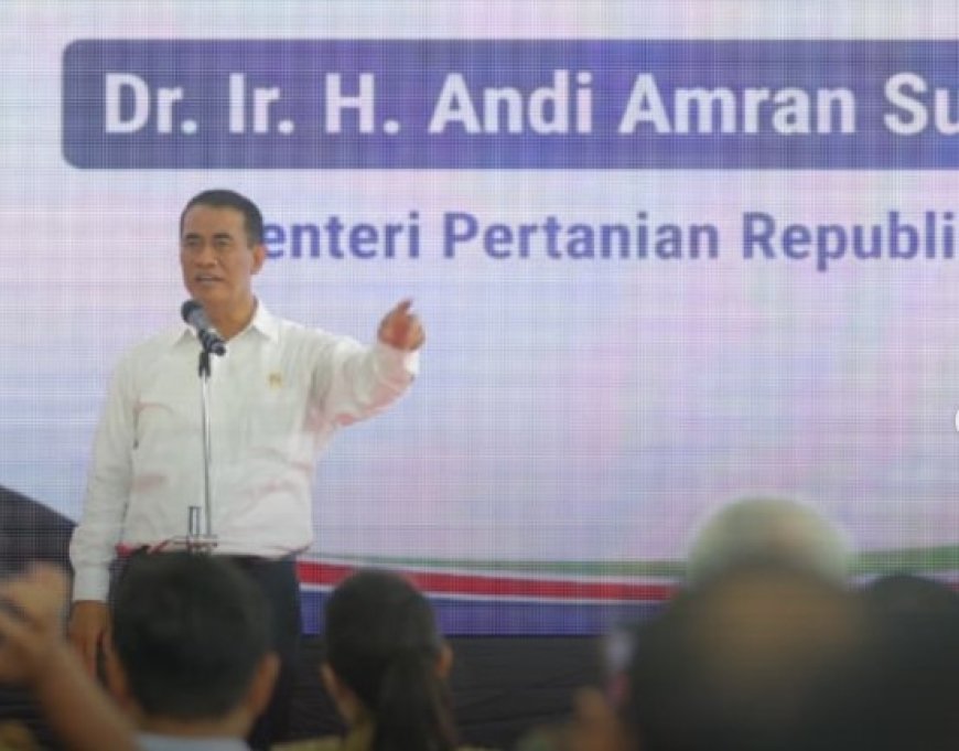 Hilirisasi Kelapa di Maluku Utara Dorong Nilai Ekonomi dan Ekspor ke Tiongkok