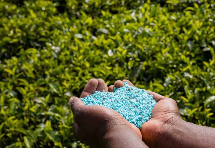 Mentan Cabut Izin 190 Pengecer & Distributor Pupuk: “Tidak Ada Lagi Toleransi untuk Mafia”