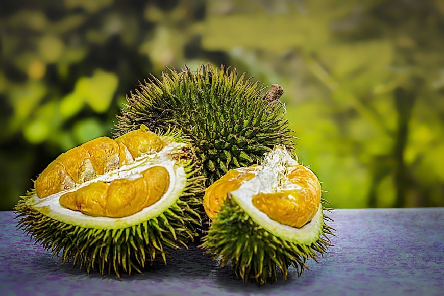Durian Bukan Penyebab Kolesterol: Ini Penjelasan Ilmiahnya Menurut Pakar Gizi IPB