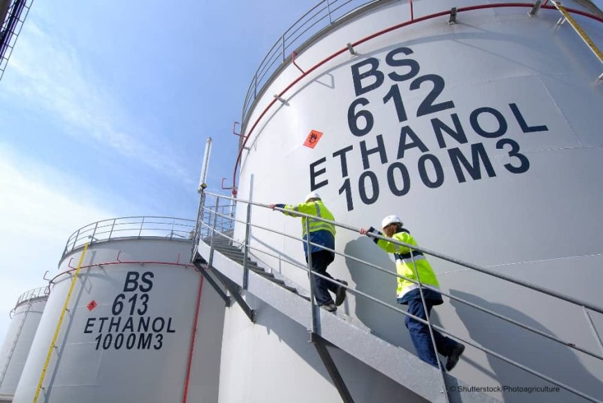 Toyota Bangun Pabrik Bioetanol Rp2,5 Triliun di Lampung