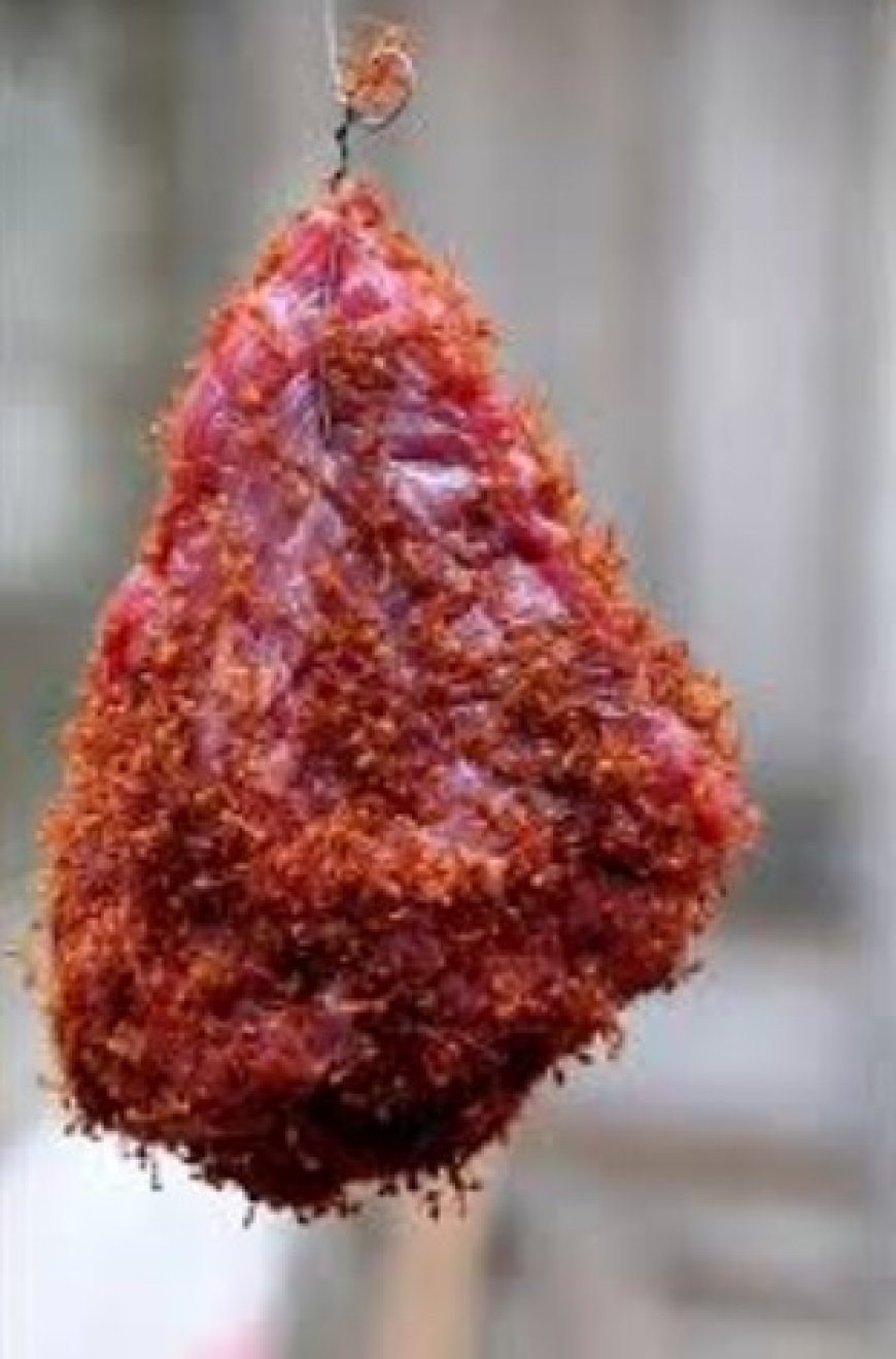 Bò Tái Kiến Đốt: Kuliner Ekstrem Vietnam yang Dimasak dengan Gigitan Semut Api, Berani Coba?