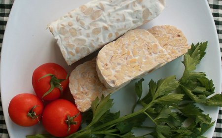 5 Negara Tujuan Ekspor Tempe yang Bikin Kamu Tajir: Peluang Besar untuk UMKM Indonesia