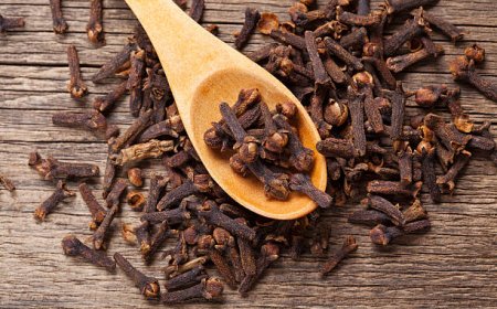 Teh Cengkeh, Rahasia Alami Bikin Napas Segar dan Tubuh Lebih Sehat