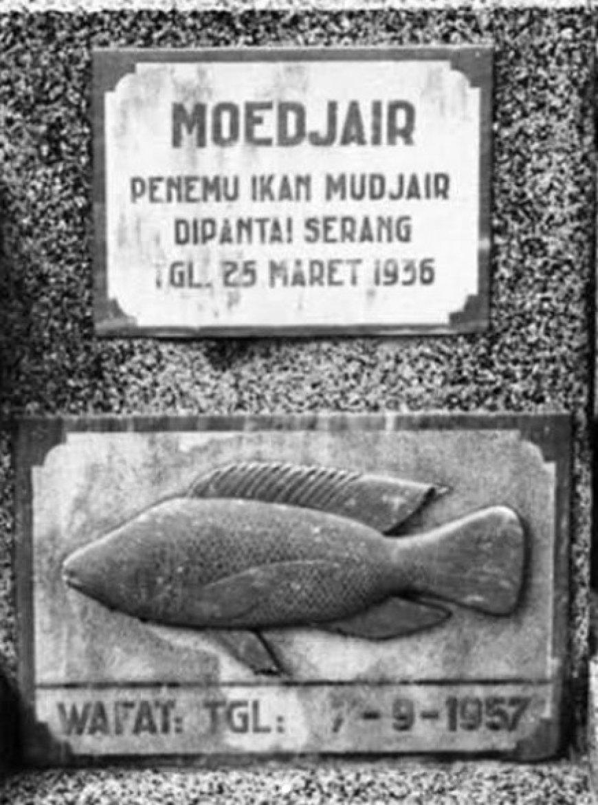 Mengenang Penemu Ikan Mujair: Dari Masa Kolonial, Pendudukan Jepang, hingga Orde Baru