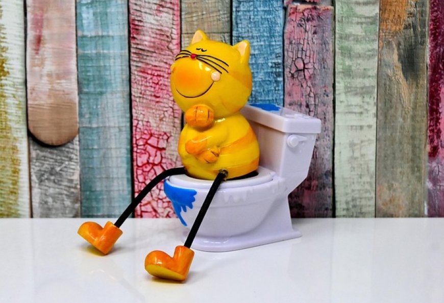 Duduk Terlalu Lama di Toilet Bisa Picu Berbagai Penyakit, Ini Penjelasannya