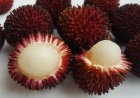 Buah Pulasan, Si “Saudara Dekat” Rambutan yang Mulai Terlupakan