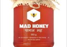 Mad Honey: Madu “Gila” yang Memabukkan, Berkhasiat Sekaligus Berbahaya