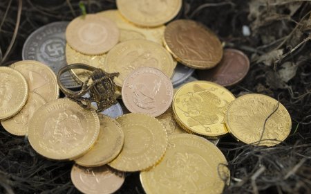 Florida Legalkan Koin Emas dan Perak sebagai Alat Pembayaran