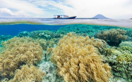 Wisatawan Tiongkok Tembus Satu Juta Kunjungan, Pariwisata Indonesia Kian Bergairah