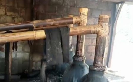 Sopi: Minuman yang Menyatukan Orang-Orang di Flores