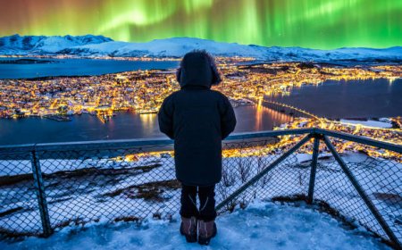 Tinggal di Eropa Tanpa Visa Selamanya? Ini Fakta Unik Svalbard yang Jarang Diketahui