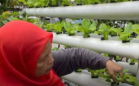 Urban Farming Buruan SAE Bandung Jadi Benteng Warga Hadapi Lonjakan Harga Pangan