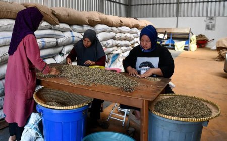 Wakil Bupati Subang Dampingi Menteri Koperasi RI Lepas Ekspor 96 Ton Kopi ke Aljazair