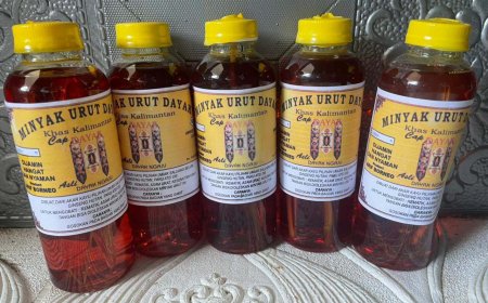 Minyak Bintang Dayak, Ramuan Langka yang Dipercaya Punya Kekuatan Ajaib