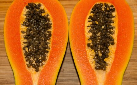 Biji Pepaya, "Emas Hitam" yang Diam-diam Diburu Dunia Medis