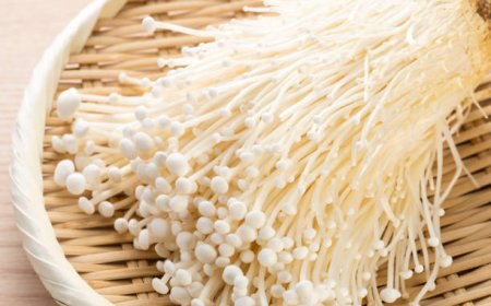 Mengapa Tubuh Sulit Mencerna Jamur Enoki?