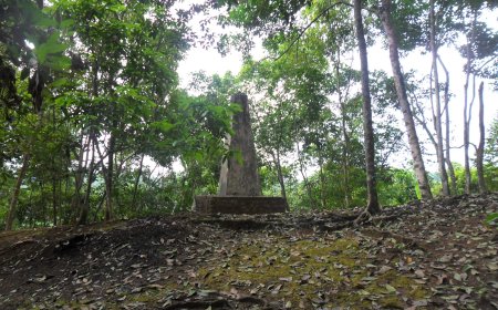 Dulu Tambang Batu Bara, Sekarang Sawah Hijau: Asal Usul Kecamatan Loa Kulu