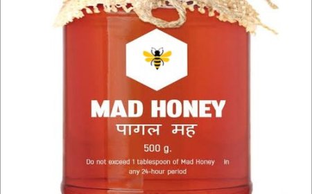 Mad Honey: Madu “Gila” yang Memabukkan, Berkhasiat Sekaligus Berbahaya